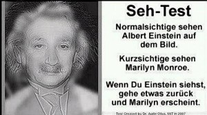 Beauty oder Brain? Einstein-Monroe Foto testet Ihre Sehkraft